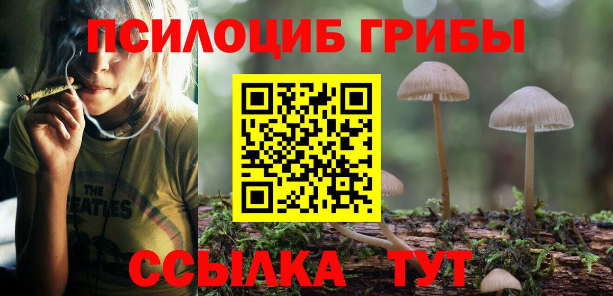 Псилоцибиновые грибы ЛСД Туймазы